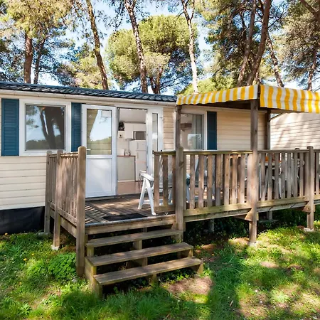 Glamping And Mobile Homes Lavanda - Centre Bi Village